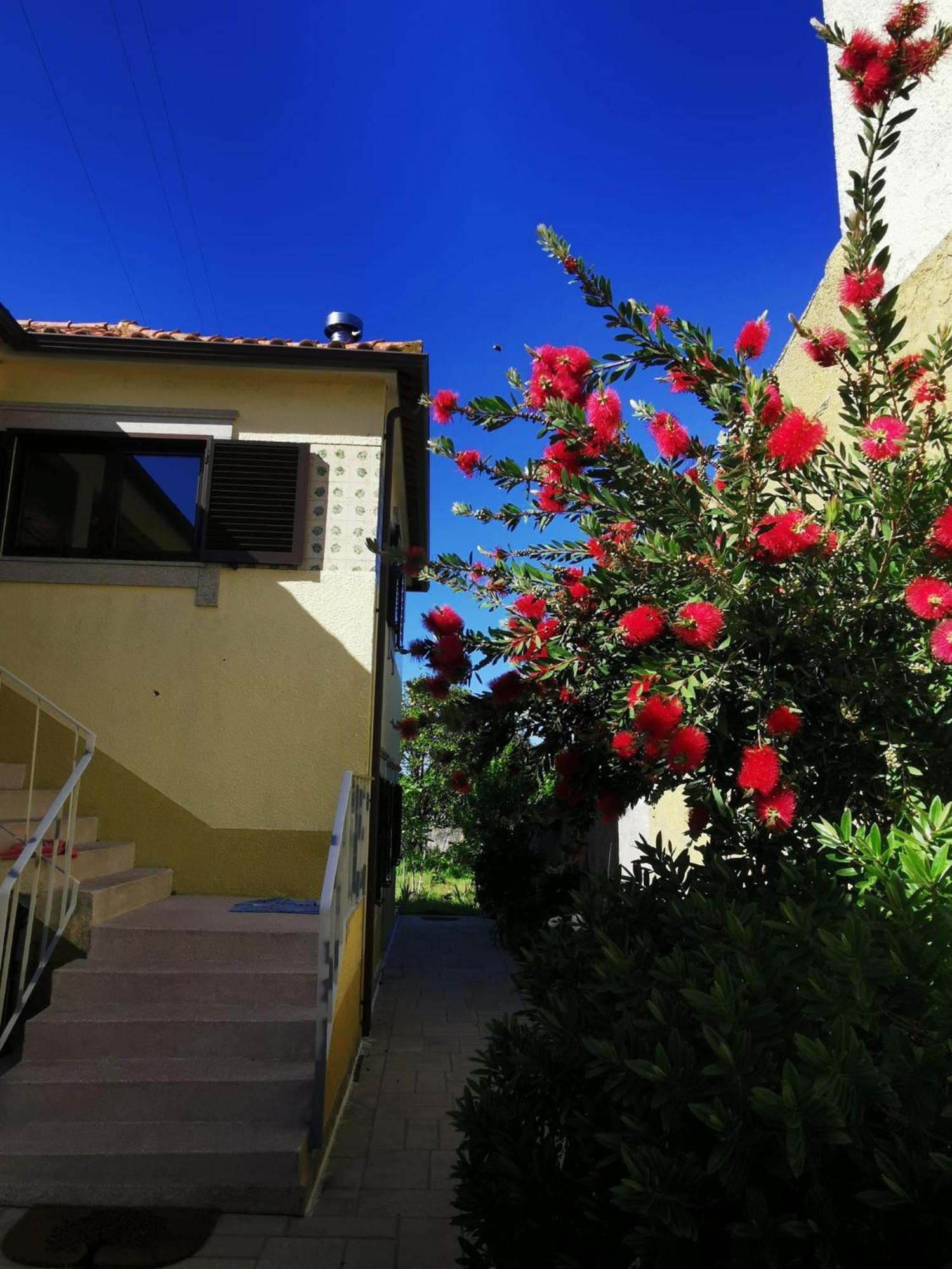 Casa Sao Pedro Belinho Only Pilgrims Bed & Breakfast Exterior foto